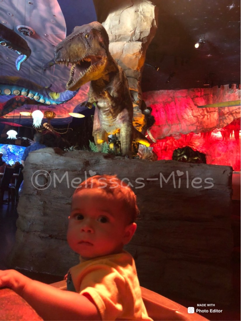 3602B913-B6CD-4F3D-ABD7-D2941315B1BC