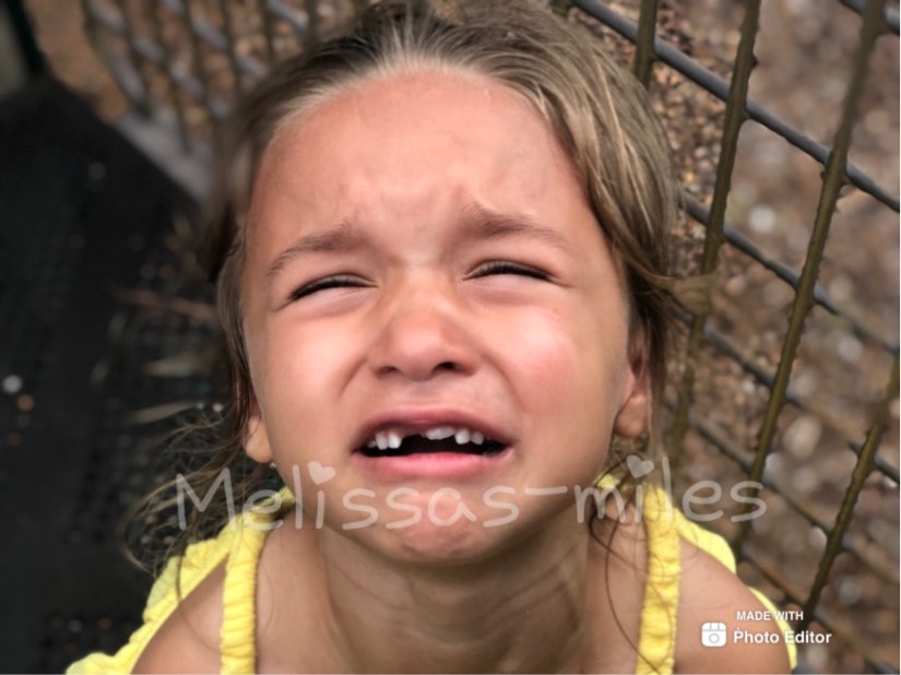 6EE503A5-9B94-4A1B-83A4-548773A51EE2